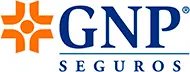 img gnp